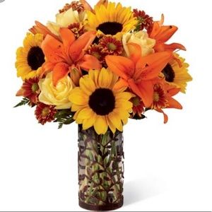 Meet your Posher, Nikky